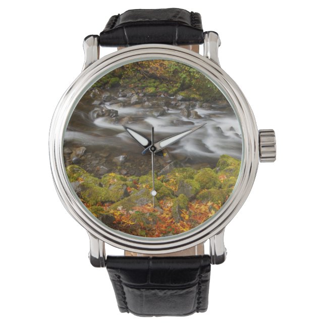 VS, Oregon, Columbia River Gorge, Tanner Creek 2 Horloge (Voorkant)