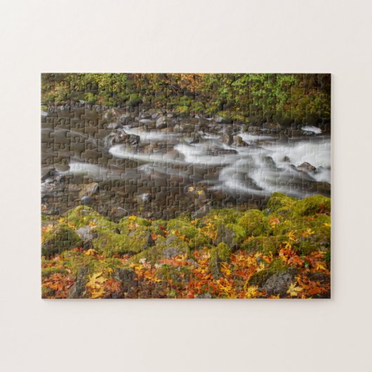VS, Oregon, Columbia River Gorge, Tanner Creek 2 Legpuzzel (Horizontaal)