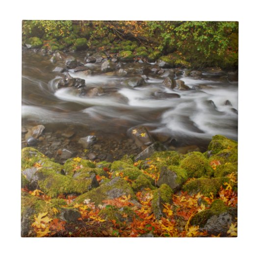 VS, Oregon, Columbia River Gorge, Tanner Creek 2 Tegeltje (Voorkant)