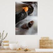 VS, Oregon, Columbia River Gorge, Tanner Creek 3 Poster (Keuken)