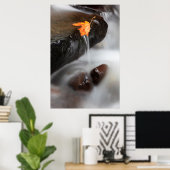 VS, Oregon, Columbia River Gorge, Tanner Creek 3 Poster (Thuiskantoor)