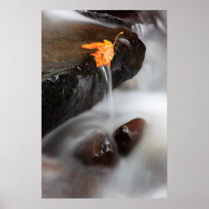 VS, Oregon, Columbia River Gorge, Tanner Creek 3 Poster