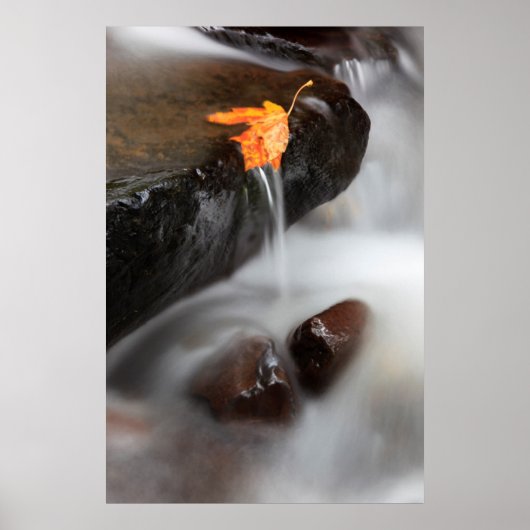 VS, Oregon, Columbia River Gorge, Tanner Creek 3 Poster (Voorkant)