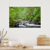 VS, Oregon, Columbia River Gorge, Tanner Creek 4 Poster (Keuken)