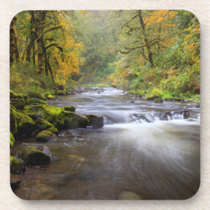 VS, Oregon, Columbia River Gorge, Tanner Creek Bier Onderzetter
