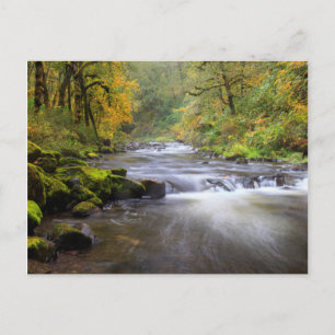 VS, Oregon, Columbia River Gorge, Tanner Creek Briefkaart