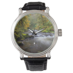 VS, Oregon, Columbia River Gorge, Tanner Creek Horloge