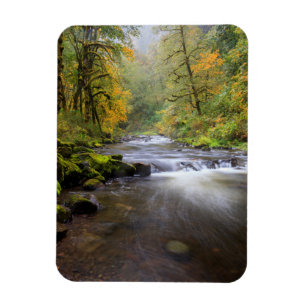 VS, Oregon, Columbia River Gorge, Tanner Creek Magneet