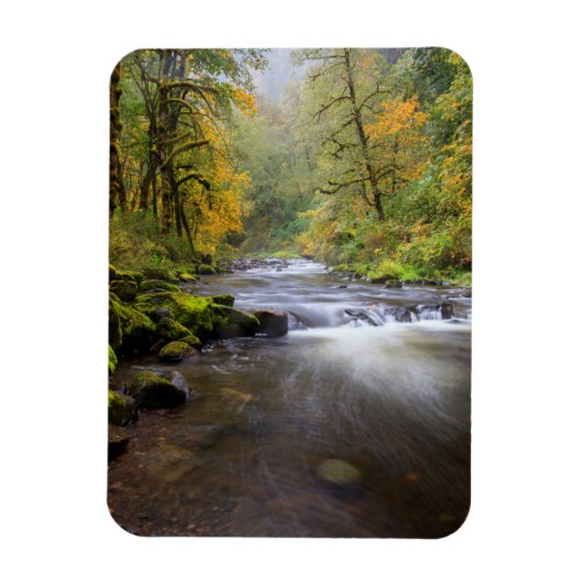VS, Oregon, Columbia River Gorge, Tanner Creek Magneet (Verticaal)