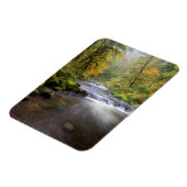 VS, Oregon, Columbia River Gorge, Tanner Creek Magneet (Linkerzijde)