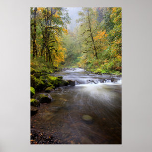 VS, Oregon, Columbia River Gorge, Tanner Creek Poster