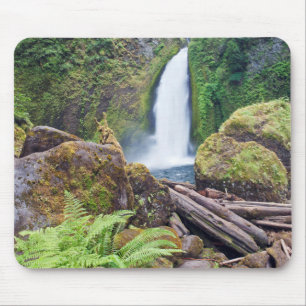 VS, Oregon, Columbia River Gorge, Wahclella Muismat