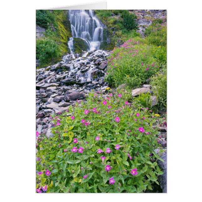 VS, Oregon, Crater Lake National Park (Voorkant)