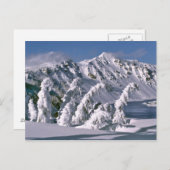 VS, Oregon, Crater Lake NP. Bomen buigen onder de Briefkaart (Voorkant / Achterkant)