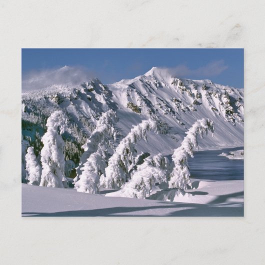 VS, Oregon, Crater Lake NP. Bomen buigen onder de Briefkaart (Voorkant)