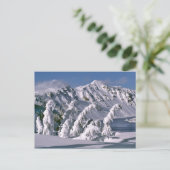 VS, Oregon, Crater Lake NP. Bomen buigen onder de Briefkaart (Staand voorkant)