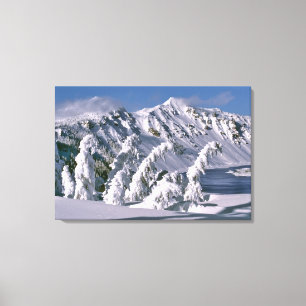 VS, Oregon, Crater Lake NP. Bomen buigen onder de Canvas Afdruk