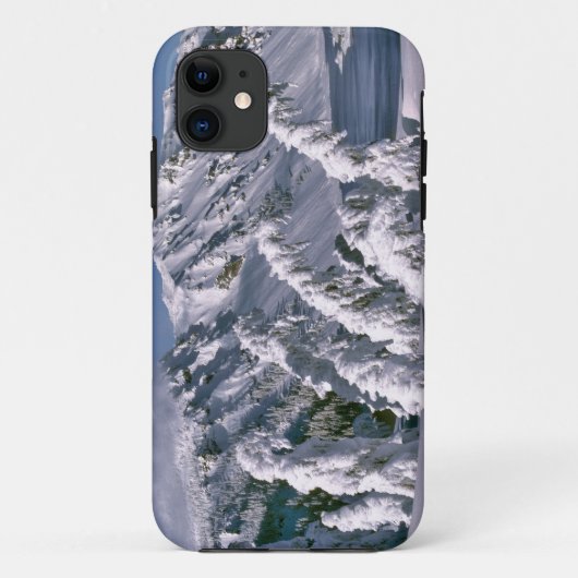 VS, Oregon, Crater Lake NP. Bomen buigen onder de Case-Mate iPhone Case (Achterkant)