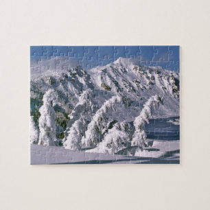 VS, Oregon, Crater Lake NP. Bomen buigen onder de Legpuzzel