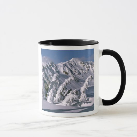 VS, Oregon, Crater Lake NP. Bomen buigen onder de Mok (Rechts)