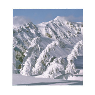 VS, Oregon, Crater Lake NP. Bomen buigen onder de Notitieblok