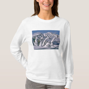 VS, Oregon, Crater Lake NP. Bomen buigen onder de T-shirt
