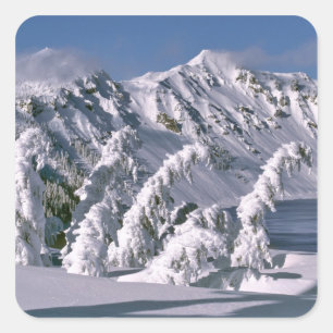 VS, Oregon, Crater Lake NP. Bomen buigen onder de Vierkante Sticker
