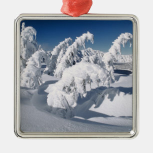 VS, Oregon, Crater Lake NP. Bomen hangen onder een Metalen Ornament