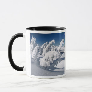 VS, Oregon, Crater Lake NP. Bomen hangen onder een Mok