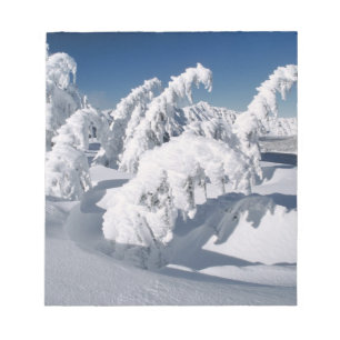 VS, Oregon, Crater Lake NP. Bomen hangen onder een Notitieblok