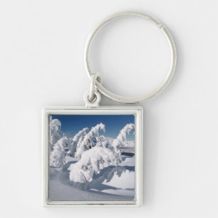 VS, Oregon, Crater Lake NP. Bomen hangen onder een Sleutelhanger