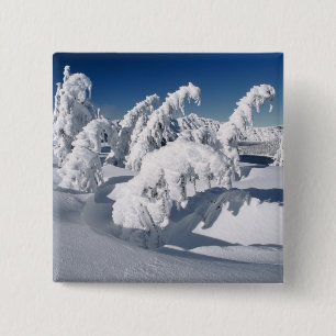 VS, Oregon, Crater Lake NP. Bomen hangen onder een Vierkante Button 5,1 Cm