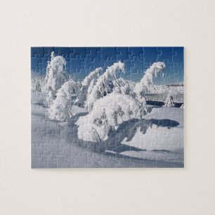 VS, Oregon, Crater Lake NP. Bomen vallen onder een Legpuzzel