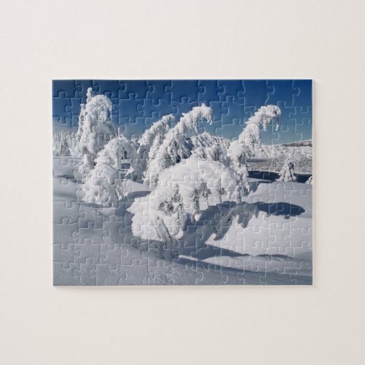 VS, Oregon, Crater Lake NP. Bomen vallen onder een Legpuzzel (Horizontaal)