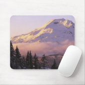 VS, Oregon, Deschutes National Forest, De Muismat (Met muis)