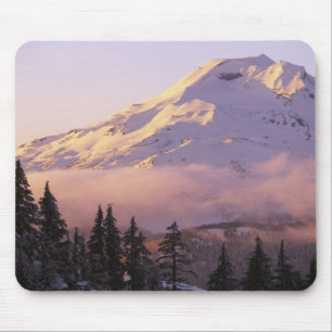 VS, Oregon, Deschutes National Forest, De Muismat