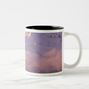 VS, Oregon, Deschutes National Forest, De Tweekleurige Koffiemok