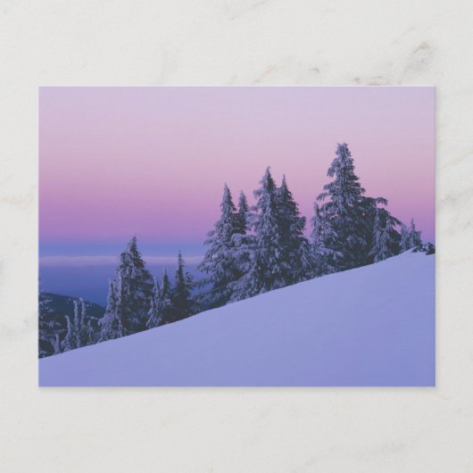 VS, Oregon, Deschutes National Forest, Schemering Briefkaart (Voorkant)