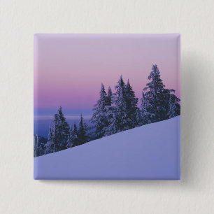 VS, Oregon, Deschutes National Forest, Schemering Vierkante Button 5,1 Cm