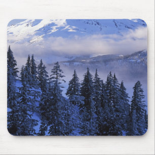 VS, Oregon, Deschutes National Forest, South Muismat