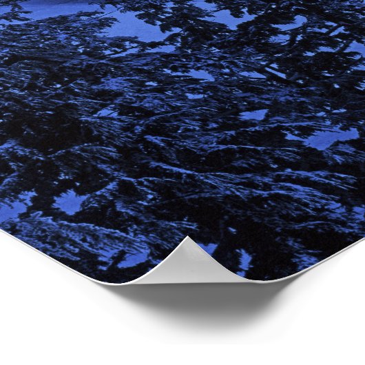 VS, Oregon, Deschutes National Forest, South Poster (Hoek)