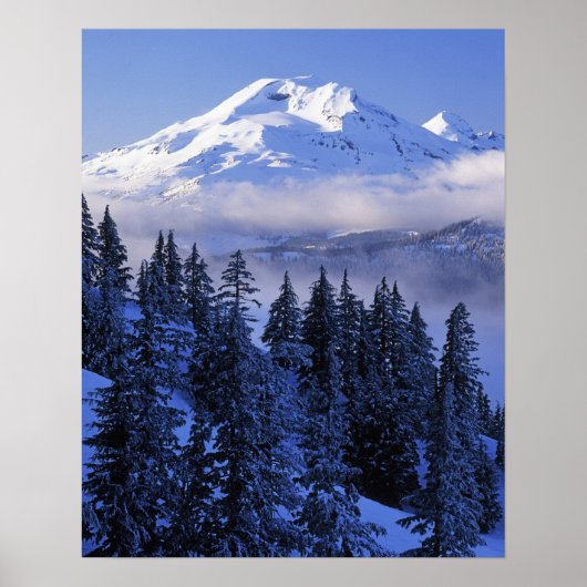 VS, Oregon, Deschutes National Forest, South Poster (Voorkant)