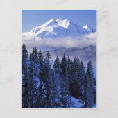 VS, Oregon, Deschutes National Forest, Zuid Briefkaart (Voorkant)