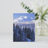 VS, Oregon, Deschutes National Forest, Zuid Briefkaart (Staand voorkant)