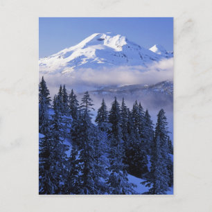 VS, Oregon, Deschutes National Forest, Zuid Briefkaart