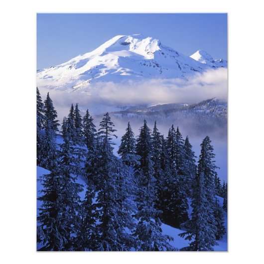 VS, Oregon, Deschutes National Forest, Zuid Foto Afdruk (Voorkant)