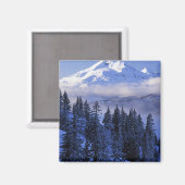 VS, Oregon, Deschutes National Forest, Zuid Magneet (Voorkant / Achterkant)