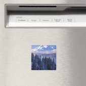 VS, Oregon, Deschutes National Forest, Zuid Magneet (Insitu (Vaatwasser))