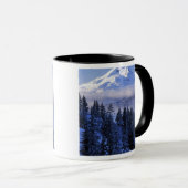 VS, Oregon, Deschutes National Forest, Zuid Mok (Voorkant rechts)