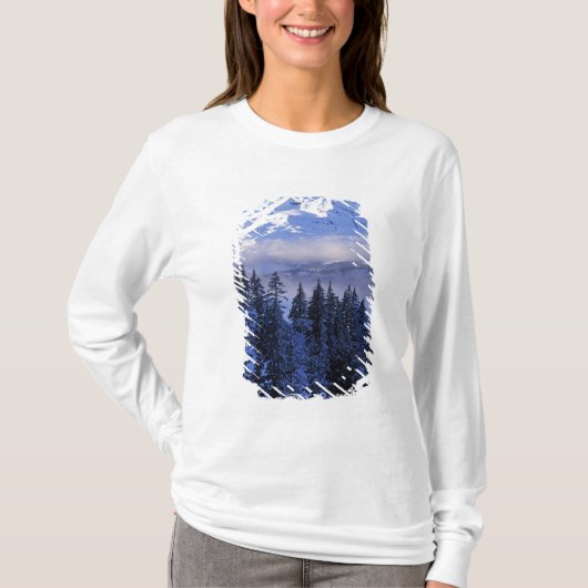 VS, Oregon, Deschutes National Forest, Zuid T-shirt (Voorkant)